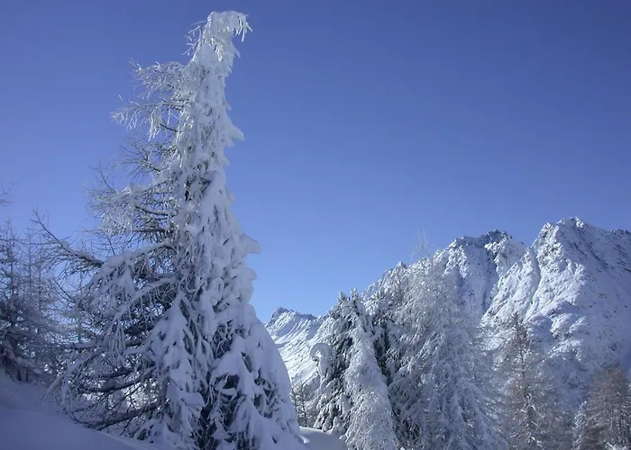 Hotel Seiblishof Superior