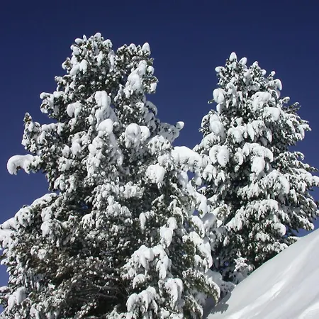 Отель Seiblishof Superior 4*