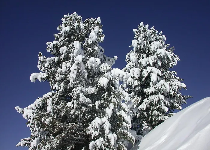 Hotel Seiblishof Superior 4*